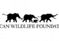 Tourism & Protected Area Specialist At African Wildlife Foundation (AWF)