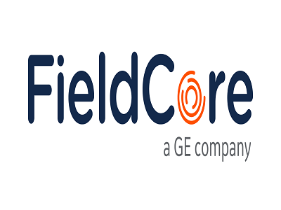 FIELDCORE service. Field Core компания. Персонал FIELDCORE ge в Москве. Field core
