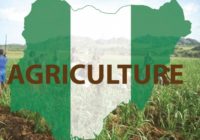 NIGERIAN AGRICULTURAL SECTOR TO GET US$1.1bn INVESTMENT FROM BRAZIL