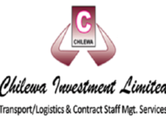 BUDGET ANALYST AT CHILEWA INVESTMENTS LIMITED