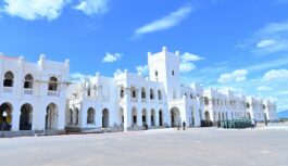 CONSTRUCTION OF CHAMWINO STATE HOUSE AT 91% IN TANZANIA